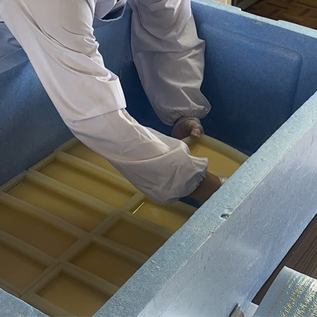 webサイトやパンフレットなどのデザインのための写真撮影