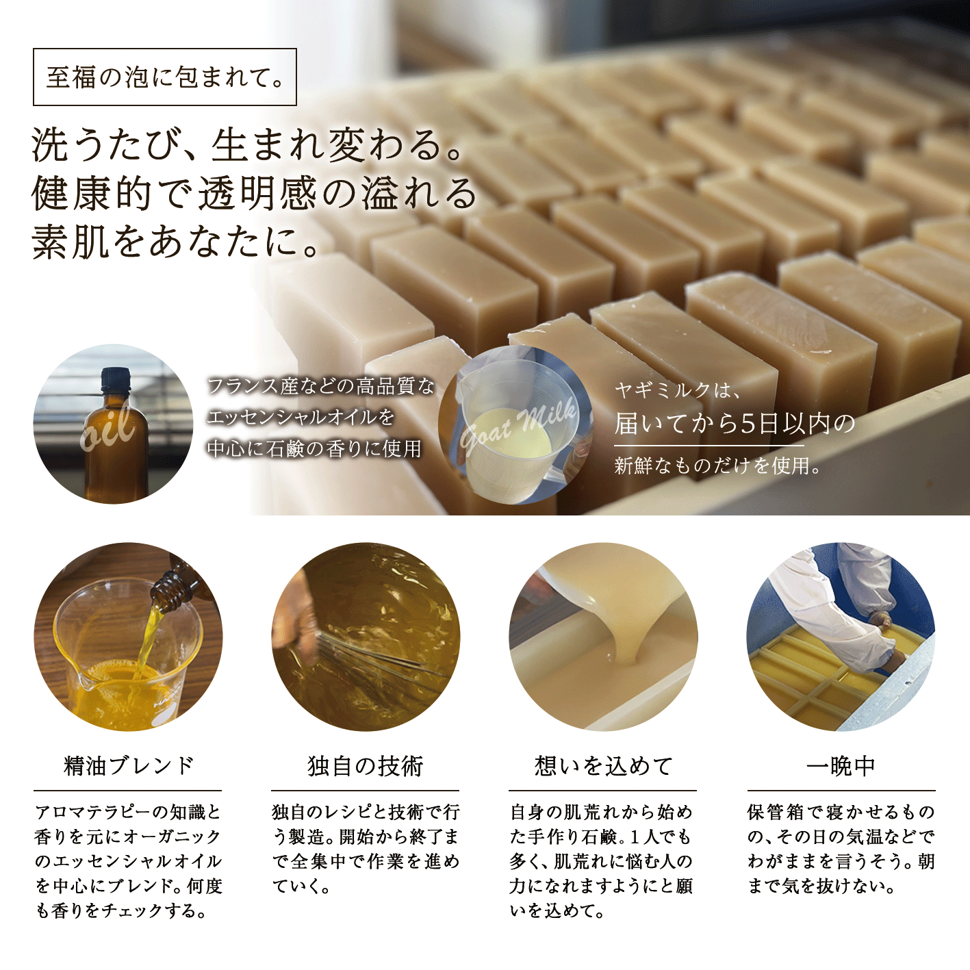 パンフレット表紙